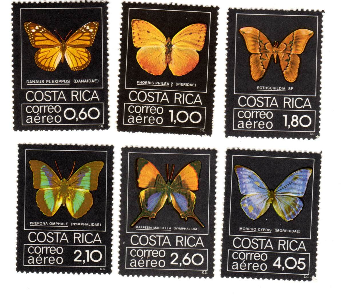 Costa Rican butterflies set
